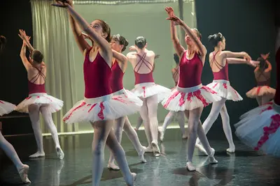 Jeunes Amis de la Danse