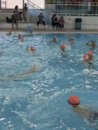 Aquasports Saint-cyprien , École et Club de Natation , Triathlon , Course À Pied Pour Adultes et Enfants