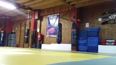 Shugyo Dojo Stephanois