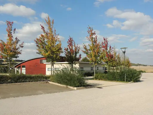Judo Club Saint Florentin