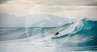 Surf Excellence - Ecole de Surf en Guadeloupe
