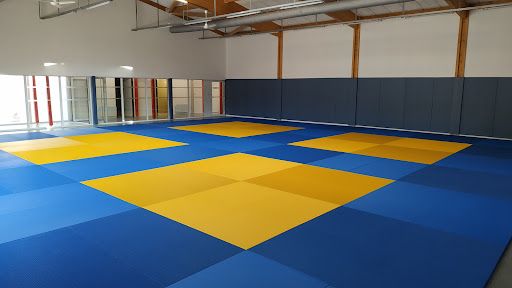 Dojo Saint Germanais