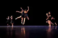 Accordanse