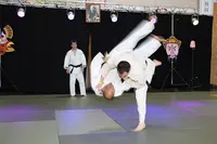 Dojo Germanois
