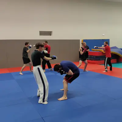 Modern Martial Arts Saint Herblain
