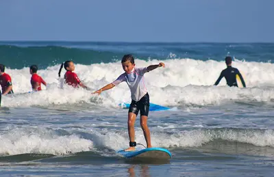 Habia Surfschool - Ecole de Surf Pays Basque