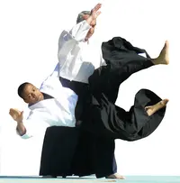 Aikikan Dojo Saint Jean de Vedas