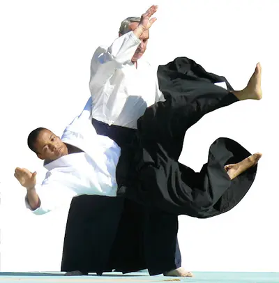 Aikikan Dojo Saint Jean de Vedas