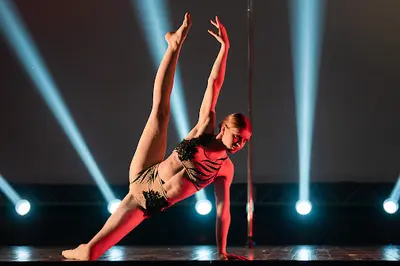 l'Art en Vol Pole Dance