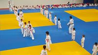 Dojo Herve Allari