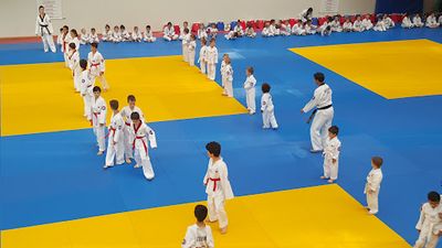 Dojo Herve Allari