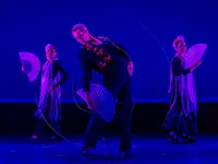 Flamenco Nuevo