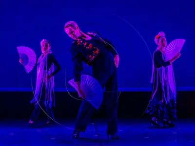 Flamenco Nuevo