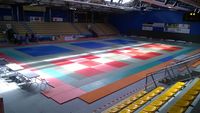 Saint-marcel Judo