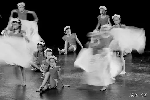 Association Dance Lovers