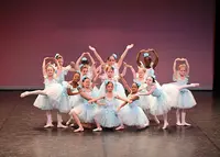 Ferraz Danse