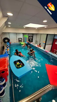 Swim Stars Saint-maur - les Mûriers