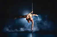 Pole Art Cri