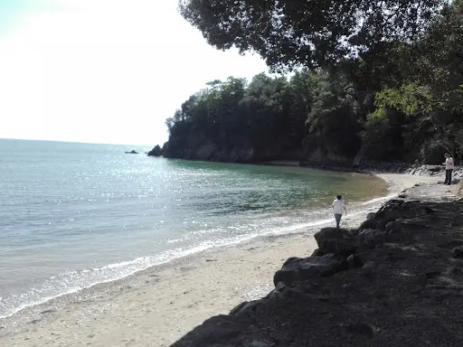 Association le Mont Tai Shan