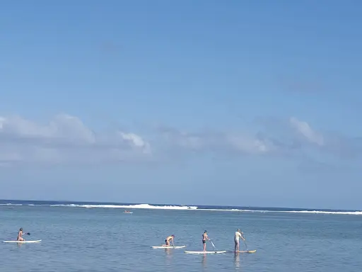 Ecole de Surf des Roches Noires