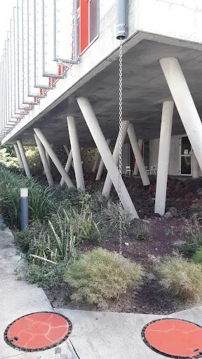 Conservatoire À Rayonnement Regional de la Réunion - Centre Jules Joron - St. Pierre
