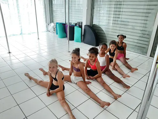 Pole Dance Concept