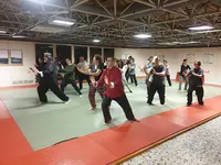 Ecole de Tai Ji Quan - Pratiquer le Taichi Chuan en Côte Basque - Ecole Wang Weiguo