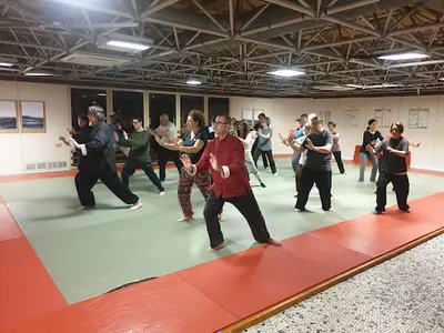 Ecole de Tai Ji Quan - Pratiquer le Taichi Chuan en Côte Basque - Ecole Wang Weiguo