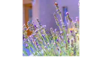 Ecole de Chant le Coeur A Chanter