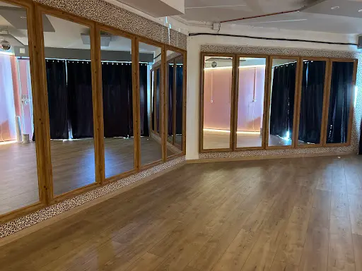 Pulse Dance Academy