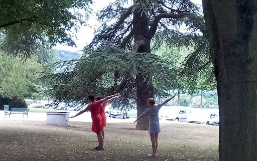 Compagnie des Hirondelles