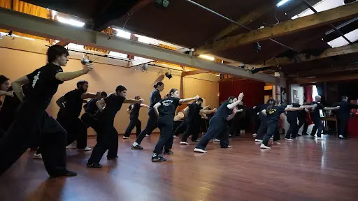 Acdkft Kung Fu Hung-gar Vienne
