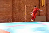 Amc Wushu