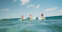 Esg - Ecole de Surf de Guadeloupe