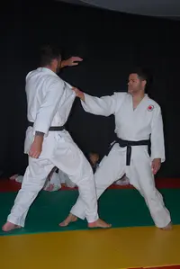 Judo Entente Roquefort - Sainte Colombe