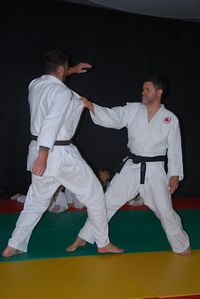 Judo Entente Roquefort - Sainte Colombe
