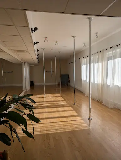 Momentum Studio - Pole Dance Studio Strasbourg