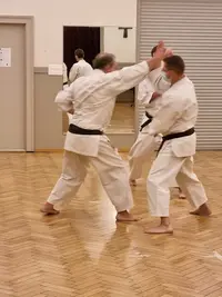 Shin Kyuu Dojo Karate-do