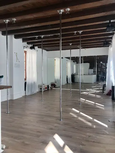Vertical Academy - Pole & Dance Studio Strasbourg