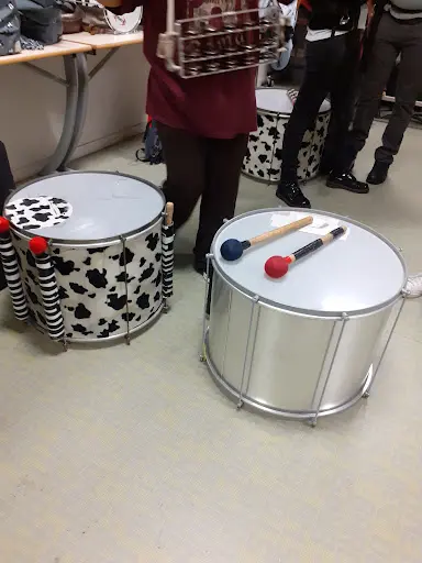 École de Musique de Tassin