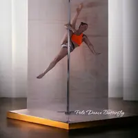 Pole Dance Butterfly By Sasa-addict