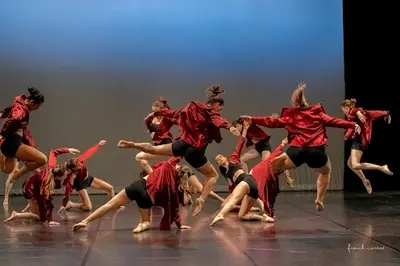 Ecole de Musique et de Danse de Thonon "emdt"