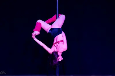 Fly Dance Circus