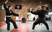 Aleozen – Qi Gong & Tai Chi (stéphane Gaudard)