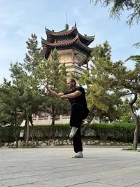 Qixing Wuguan - École Martiale des 7 Étoiles - Kung-fu Wushu & Taiji Quan À Toulon
