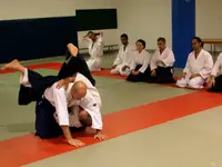 Aikido Taiji Club des Mazades