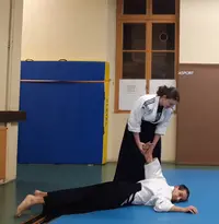 Aïkido Traditionnel Toulouse