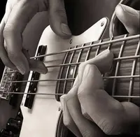 Bass N Groove