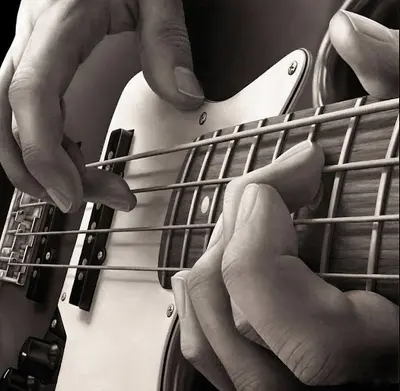 Bass N Groove