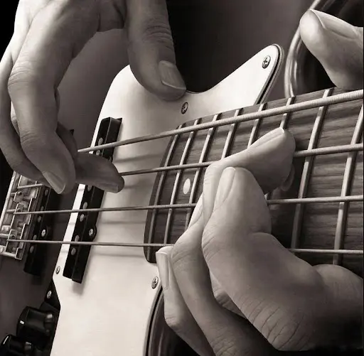 Bass N Groove